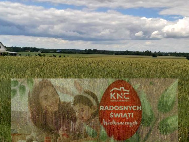 Działka budowlana Starościn