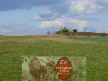 Działka rolna Przytoczno sprzedam