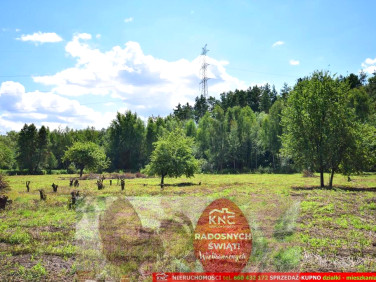 Działka rolna Pliszczyn sprzedam