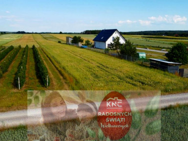 Działka budowlana Borów-Kolonia