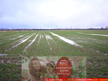 Działka budowlana Wierciszów sprzedam