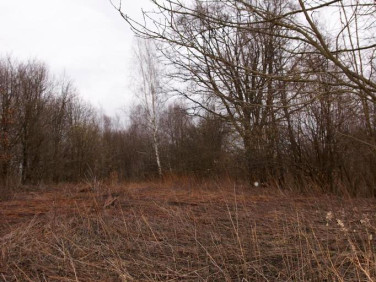 Działka budowlana Kazimierz Dolny