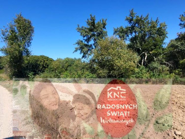 Działka budowlana Konopnica