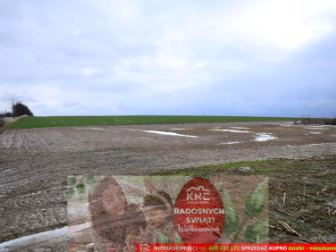 Działka budowlana Wierciszów sprzedam