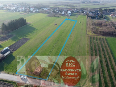 Działka budowlano-rolna Gołąb
