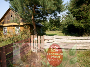 Dom Gołąb sprzedaż