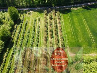 Działka Kamień-Kolonia