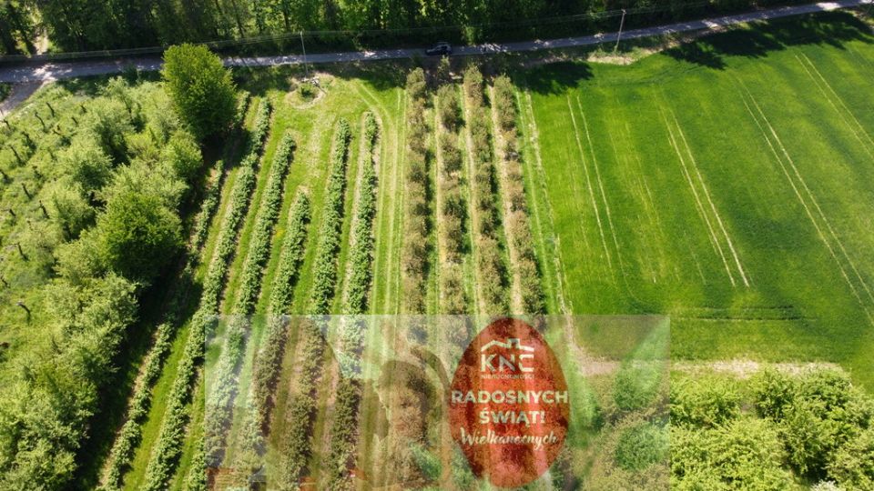 Działka Kamień-Kolonia