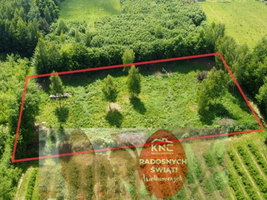 Działka budowlana Kazimierz Dolny