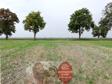 Działka Nowe Chojno