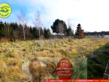 Działka budowlana MOTYCZ