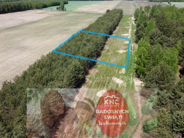 Działka budowlana Wólka Gonciarska