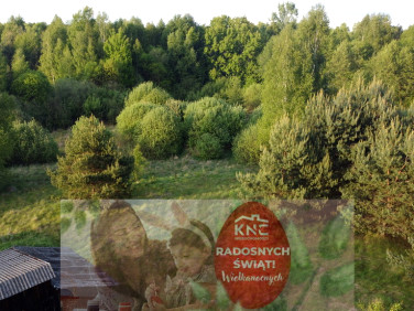 Działka rekreacyjna Nowy Kawęczyn