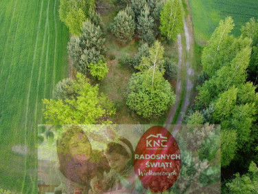 Działka rolna Karolów