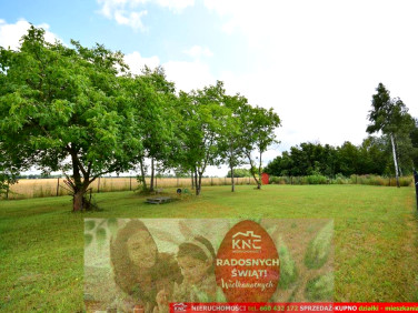 Działka rolna Osmolice Pierwsze sprzedam