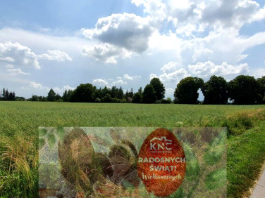 Działka budowlana Pólko