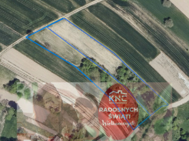 Działka siedliskowa Sobieska Wola Pierwsza