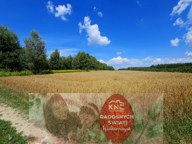 Działka rolna Karczmiska Drugie