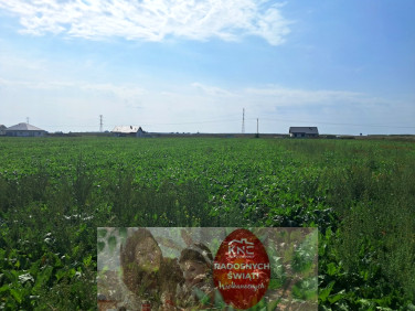 Działka Turowola-Kolonia