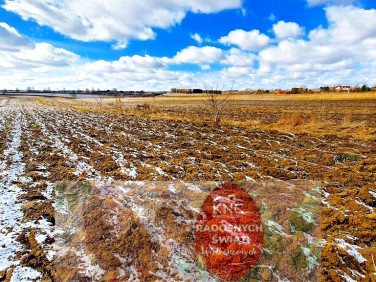 Działka rolna Płouszowice-Kolonia