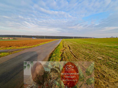 Działka budowlana Zemborzyce Podleśne