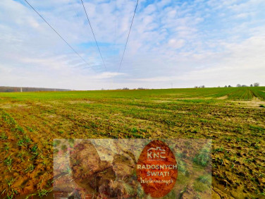 Działka budowlana Zemborzyce Podleśne