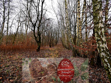 Działka rolna Kazimierz Dolny