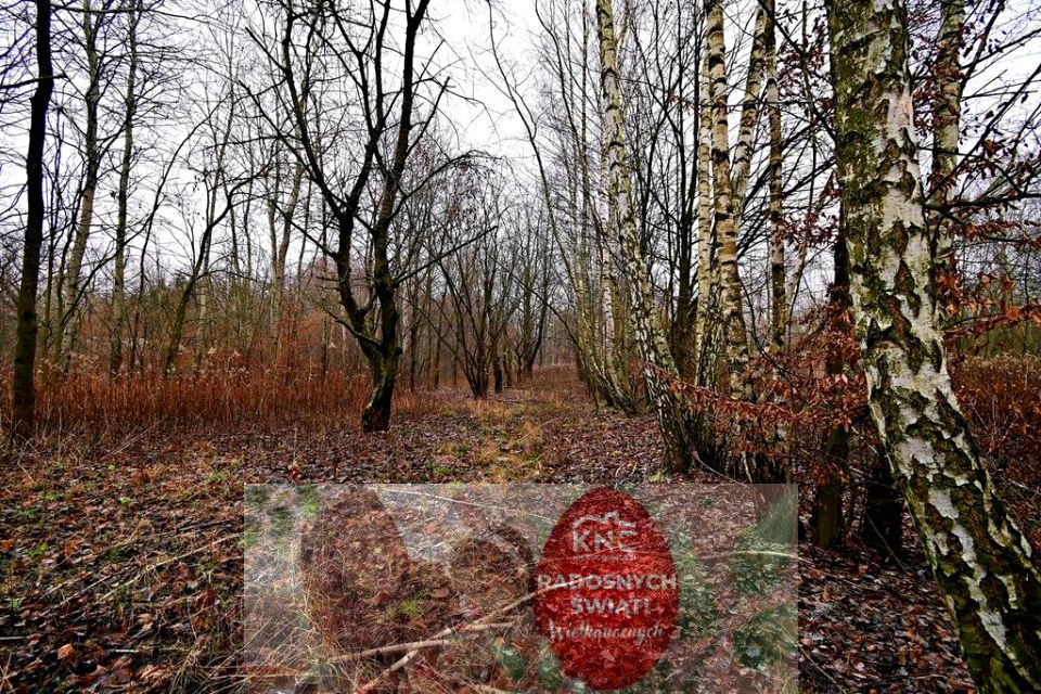 Działka rolna Kazimierz Dolny