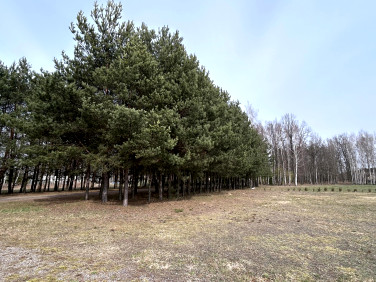 Działka budowlana Cyganka