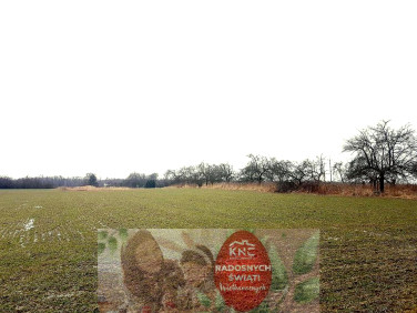 Działka rolna Uniszowice