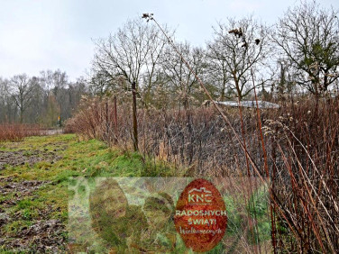 Działka rolna Kazimierz Dolny