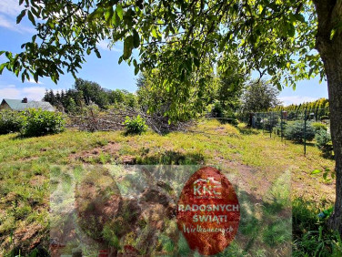 Działka rolna Sadurki sprzedam