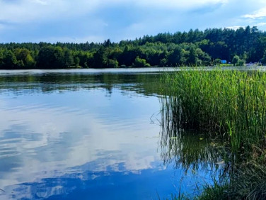 Działka rekreacyjna Samociążek