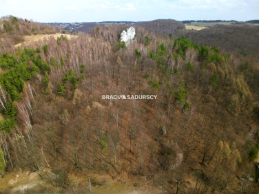 Działka leśna Jerzmanowice