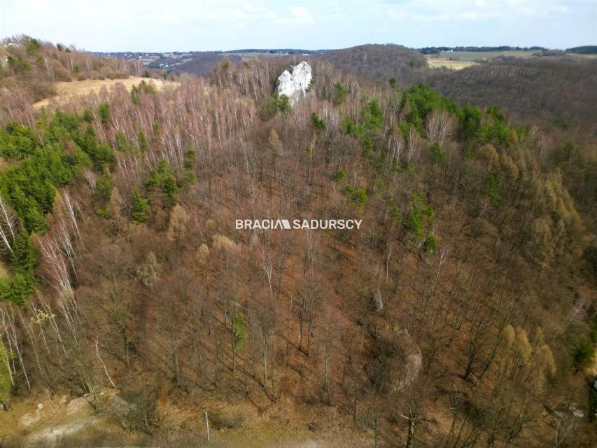 Działka leśna Jerzmanowice