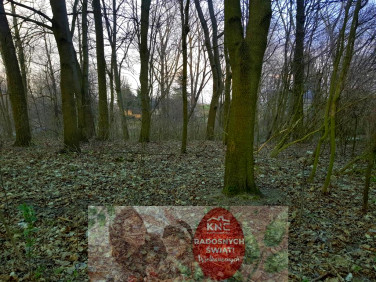 Działka leśna Kocianów