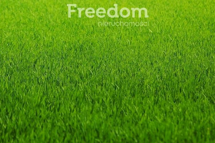 Działka budowlana Skarbiszów