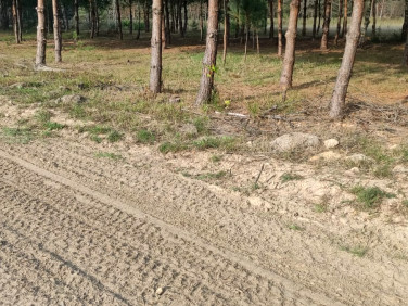 Działka budowlana Smyków