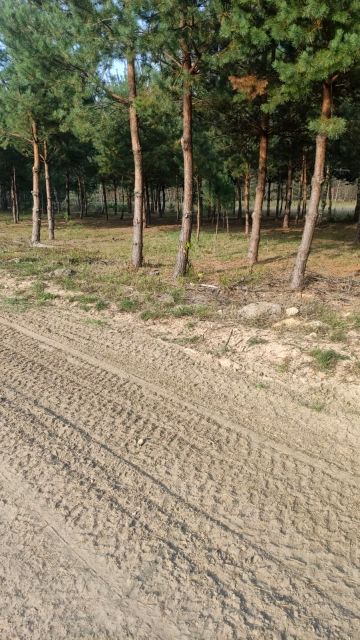 Działka budowlana Smyków