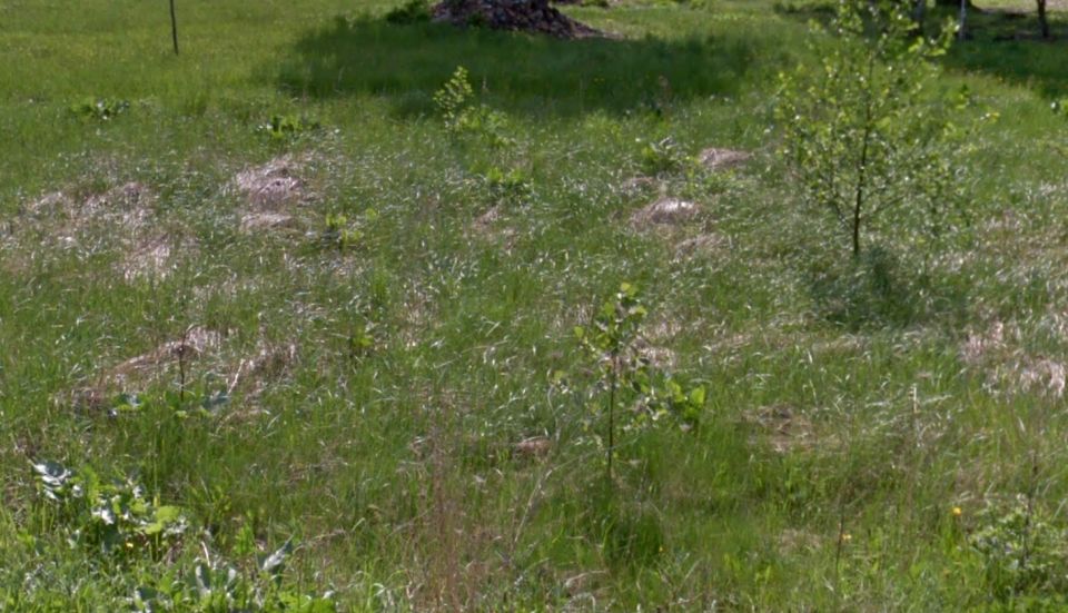 Działka budowlana Żyrardów