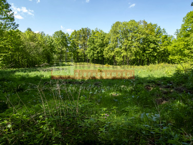 Działka inna Jarnołtówek