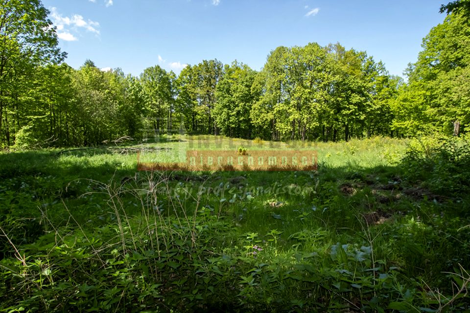 Działka inna Jarnołtówek