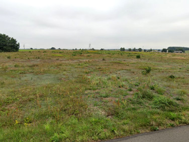 Działka siedliskowa Grabów Rycki