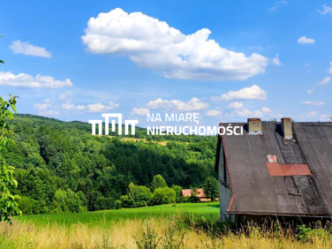 Działka Czarnorzeki