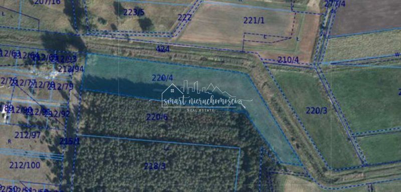 Działka rolna Lubczyna sprzedam