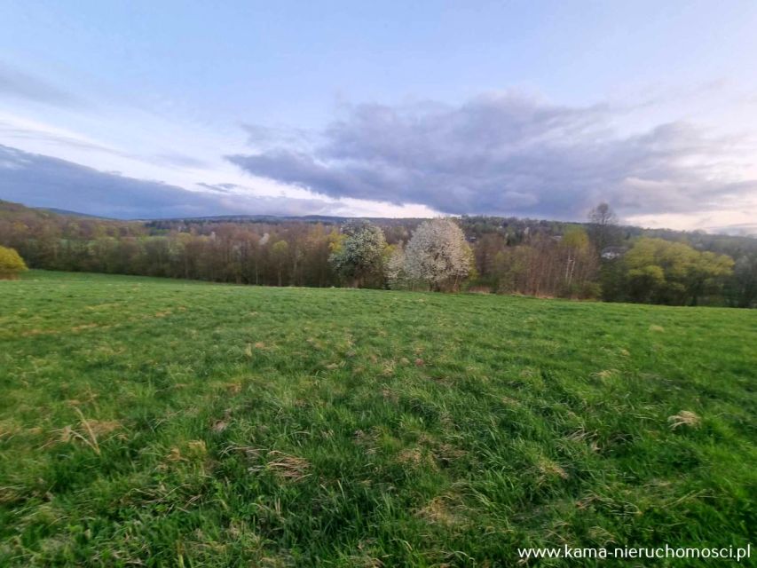 Działka rolna Chromiec