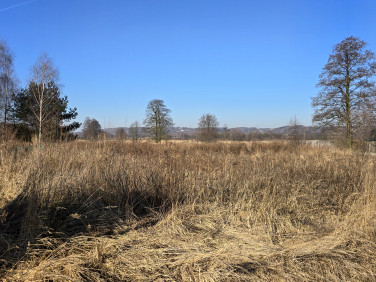 Działka budowlana Dąbie Chrobakowe