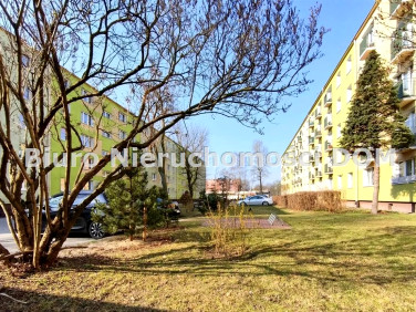 Mieszkanie Częstochowa