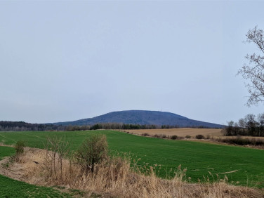 Działka siedliskowa Tąpadła