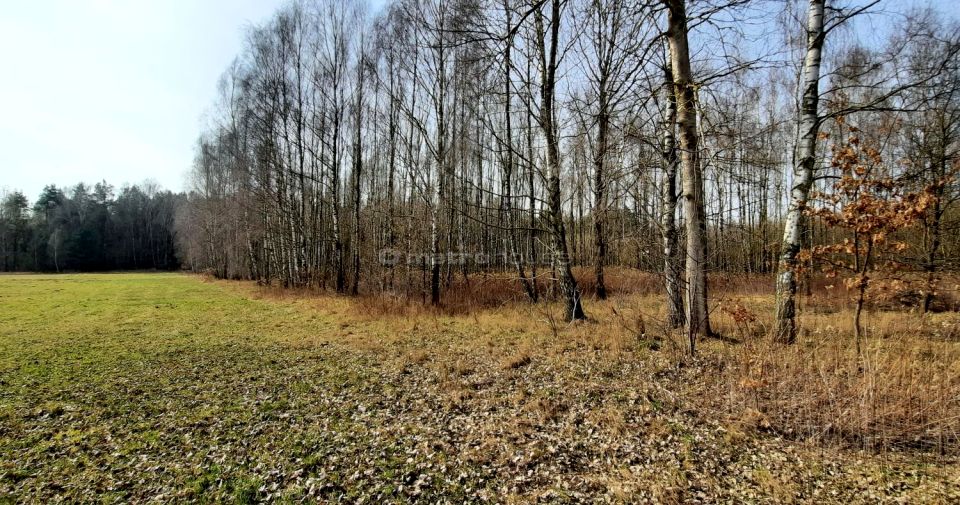 Działka rolna Dąbrówka-Niwka